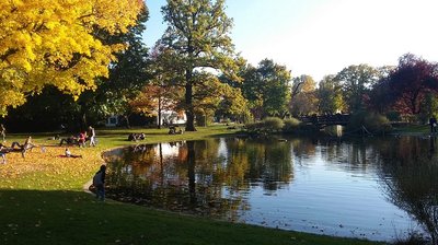 도시 공원 (슈타트파르크)